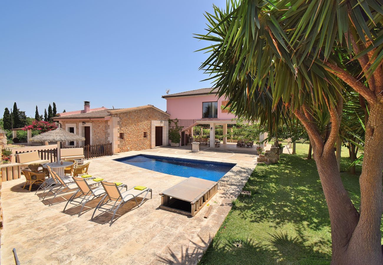 Villa à Muro - 239 Villa Biniaco ETV/4993 by Mallorca Charme