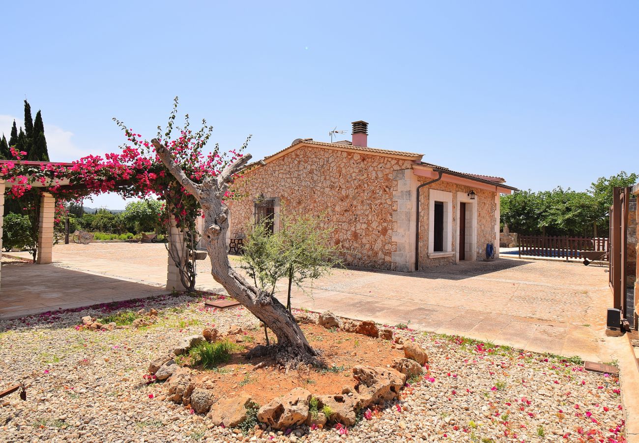 Villa à Muro - 239 Villa Biniaco ETV/4993 by Mallorca Charme