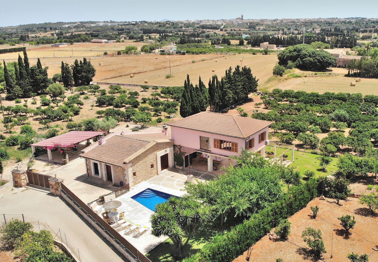 Finca de vacances, nature, piscine, air libre