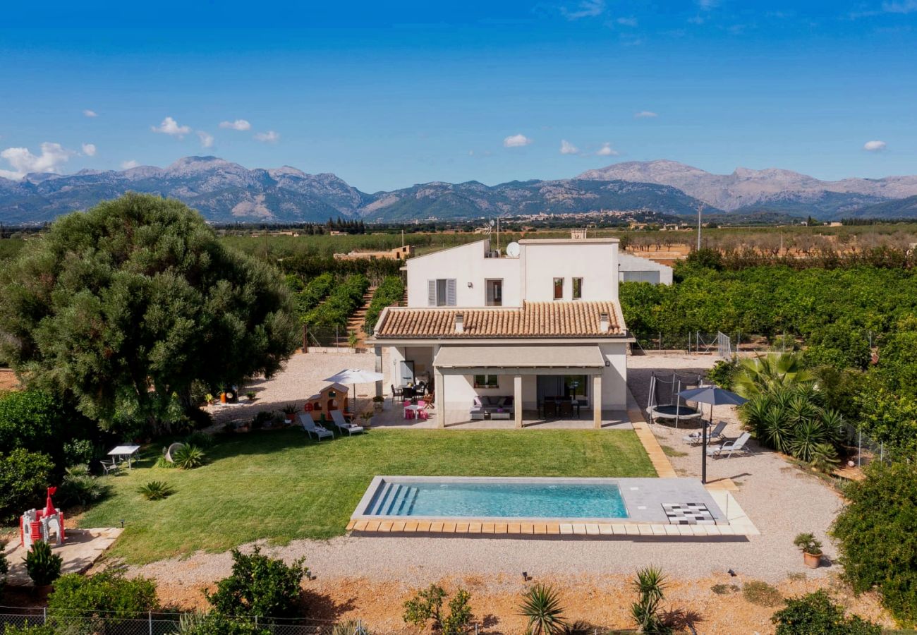 Domaine à Llubi - C285 Albamar by Mallorca Villa Selection