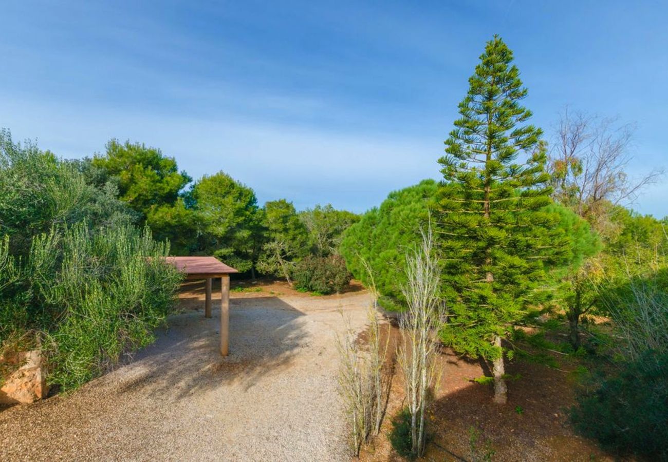 Domaine à Santanyi - ES FIGUERAL Finca pour 8 à Santanyi avec piscine