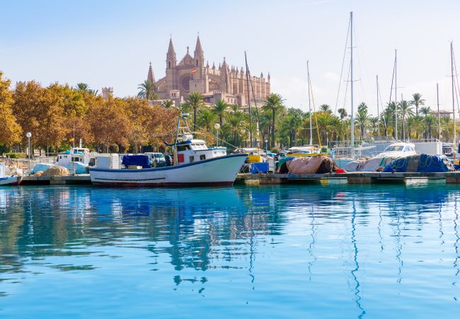 Domaine à Muro - G324 Vela 1 by Mallorca Villa Selection Domaine à Muro - G324 Vela 1 by Mallorca Villa Selection