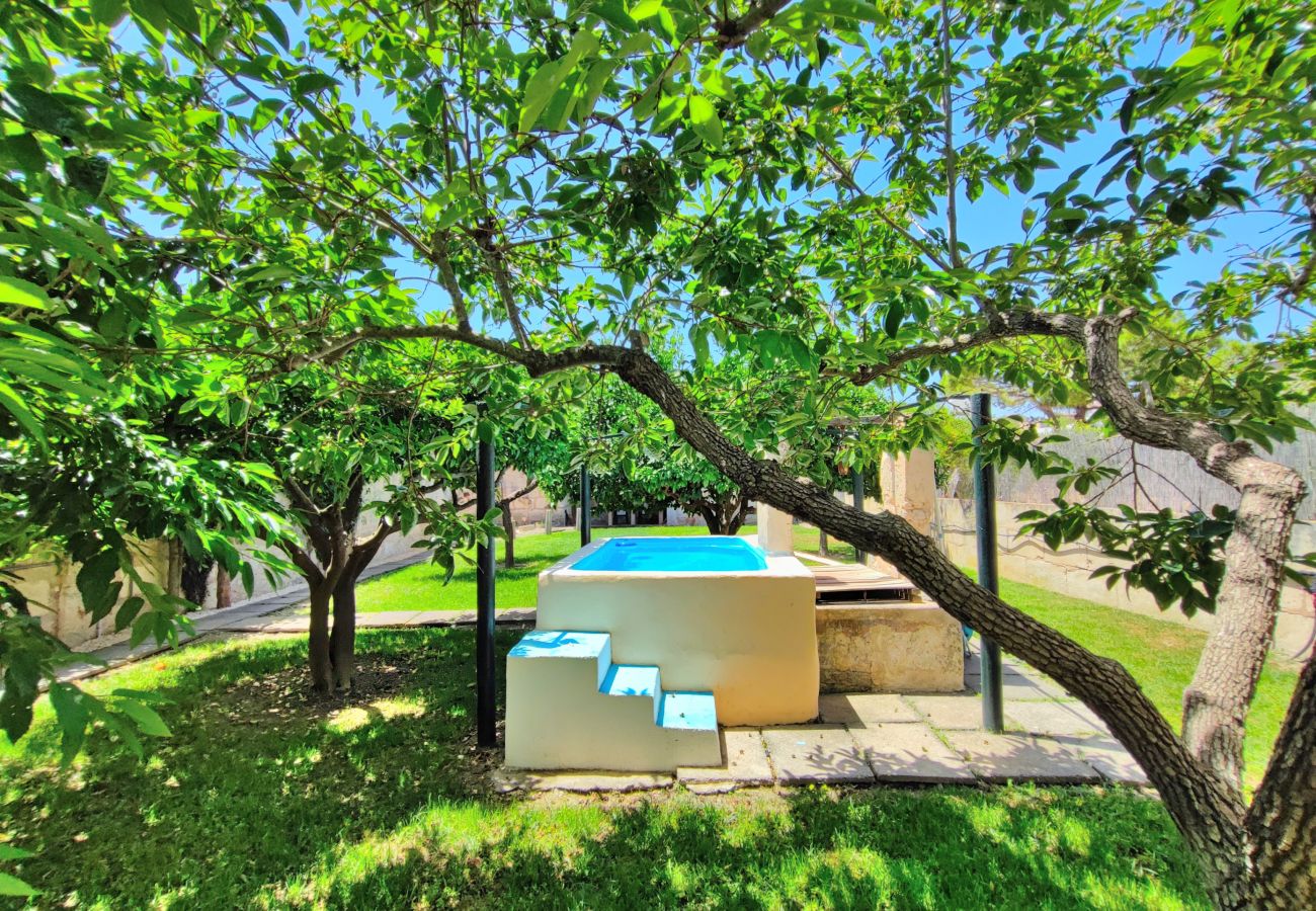 Jardin verdoyant avec piscine
