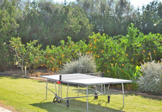 Domaine à Muro - 108 Finca Son Morey Tarongers ETV/14340 by Mallorc Domaine à Muro - 108 Finca Son Morey Tarongers ETV/14340 by Mallorc