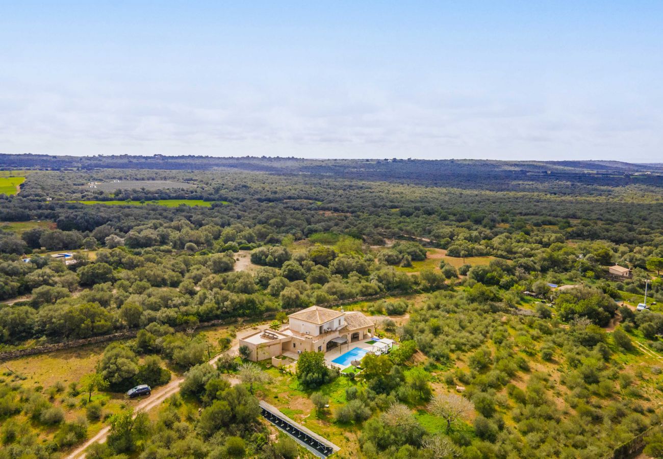 Domaine à Campos - SA PEDRERA Finca pour 8 personnes dans des champs avec piscine