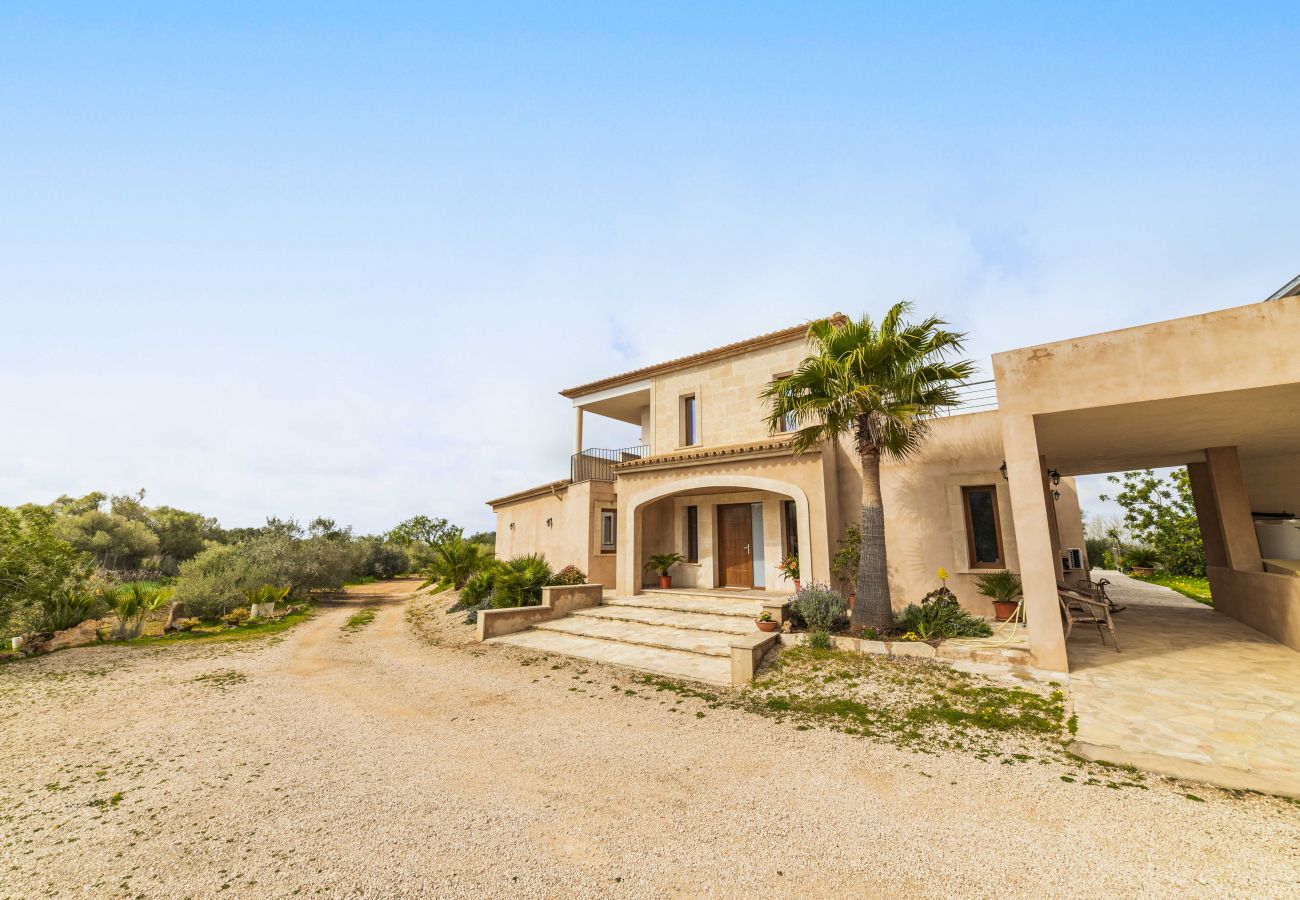 Domaine à Campos - SA PEDRERA Finca pour 8 personnes dans des champs avec piscine