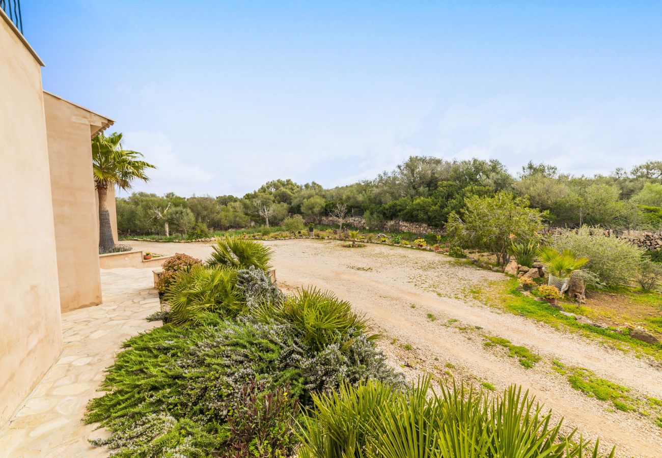 Domaine à Campos - SA PEDRERA Finca pour 8 personnes dans des champs avec piscine