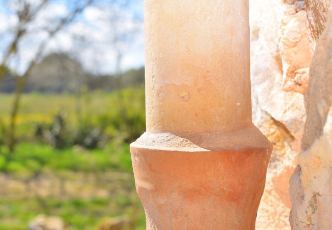 Domaine à Sineu - 087 Finca Es Camp Pla VT/1828 by Mallorca Charme Domaine à Sineu - 087 Finca Es Camp Pla VT/1828 by Mallorca Charme