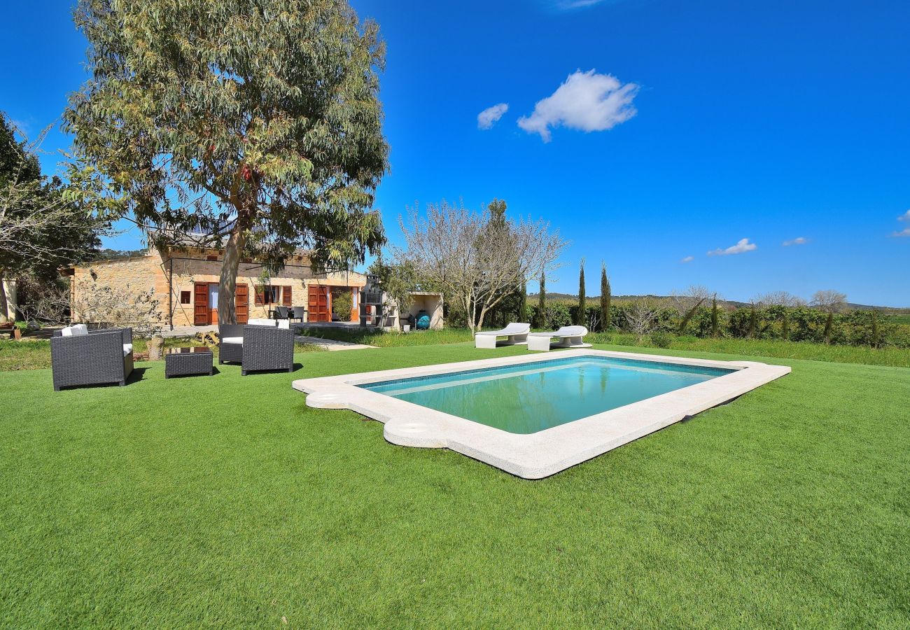 Jardin, maison, piscine, grand, vacances, soleil