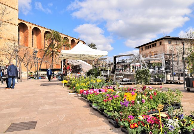 Maison à Muro - 003 Casa Ca Ses Nines ETV/15535 by Mallorca Charme Maison à Muro - 003 Casa Ca Ses Nines ETV/15535 by Mallorca Charme