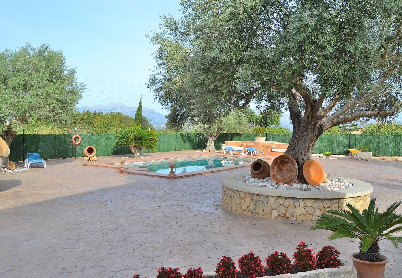 Terrasse avec piscine en pleine nature