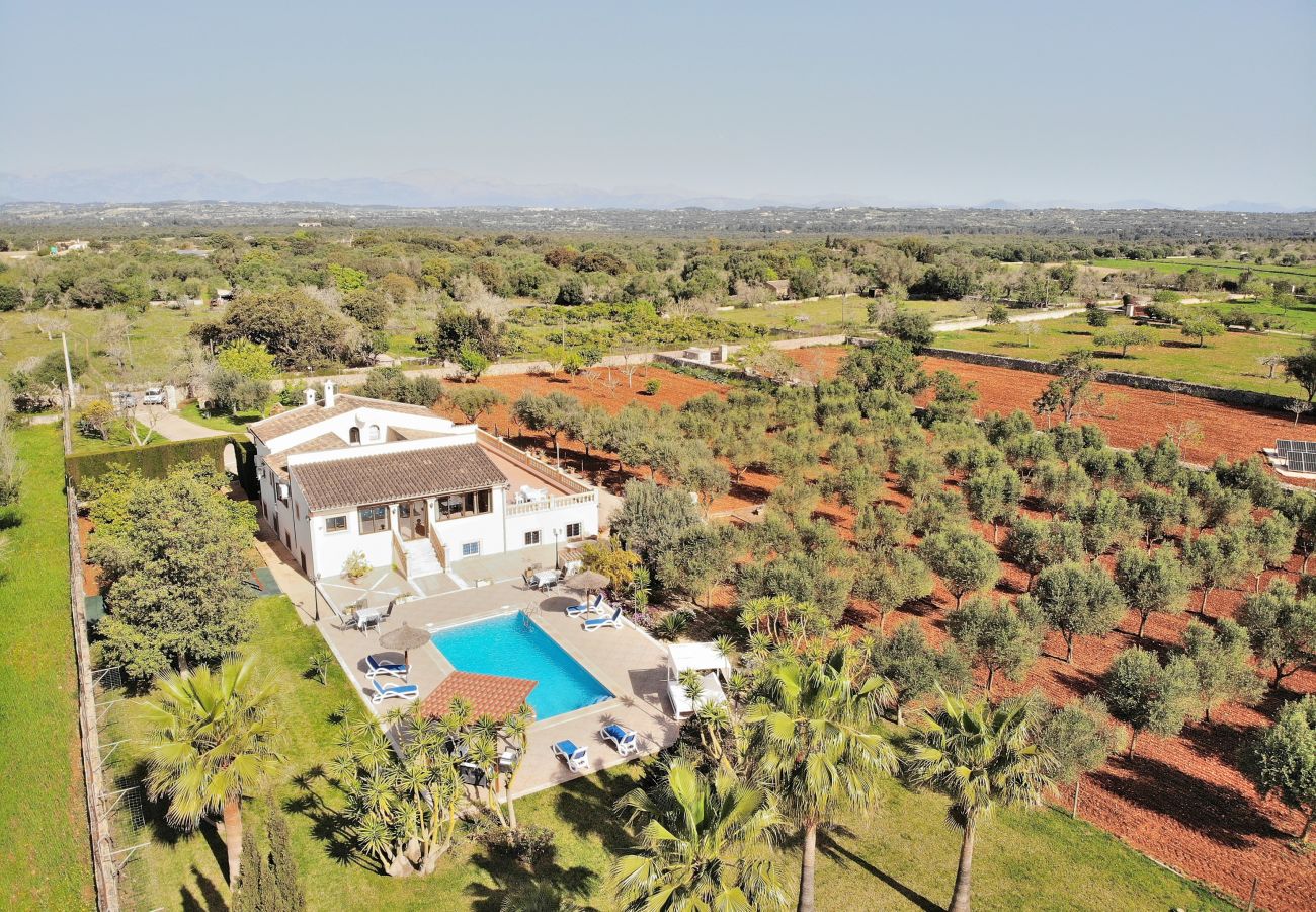 Nature, calme, détente, piscine