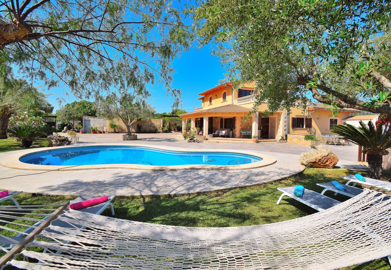 maison de vacances, piscine, Majorque, chaises longues, bains de soleil, vacances