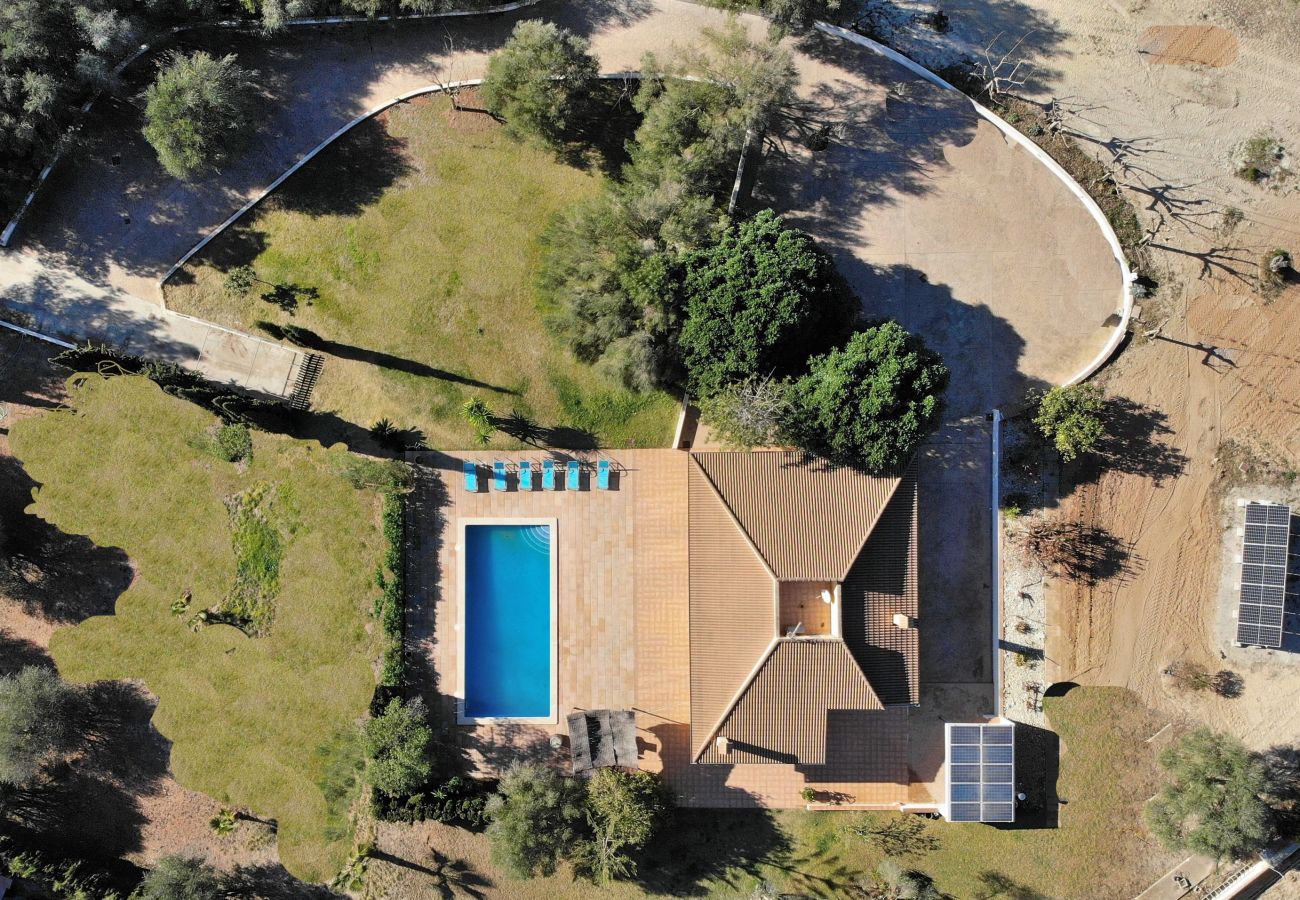 villa, mallorca, alcudia, piscine. 