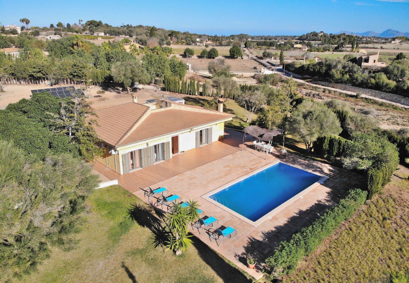 Villa, piscine, jardin, campagne