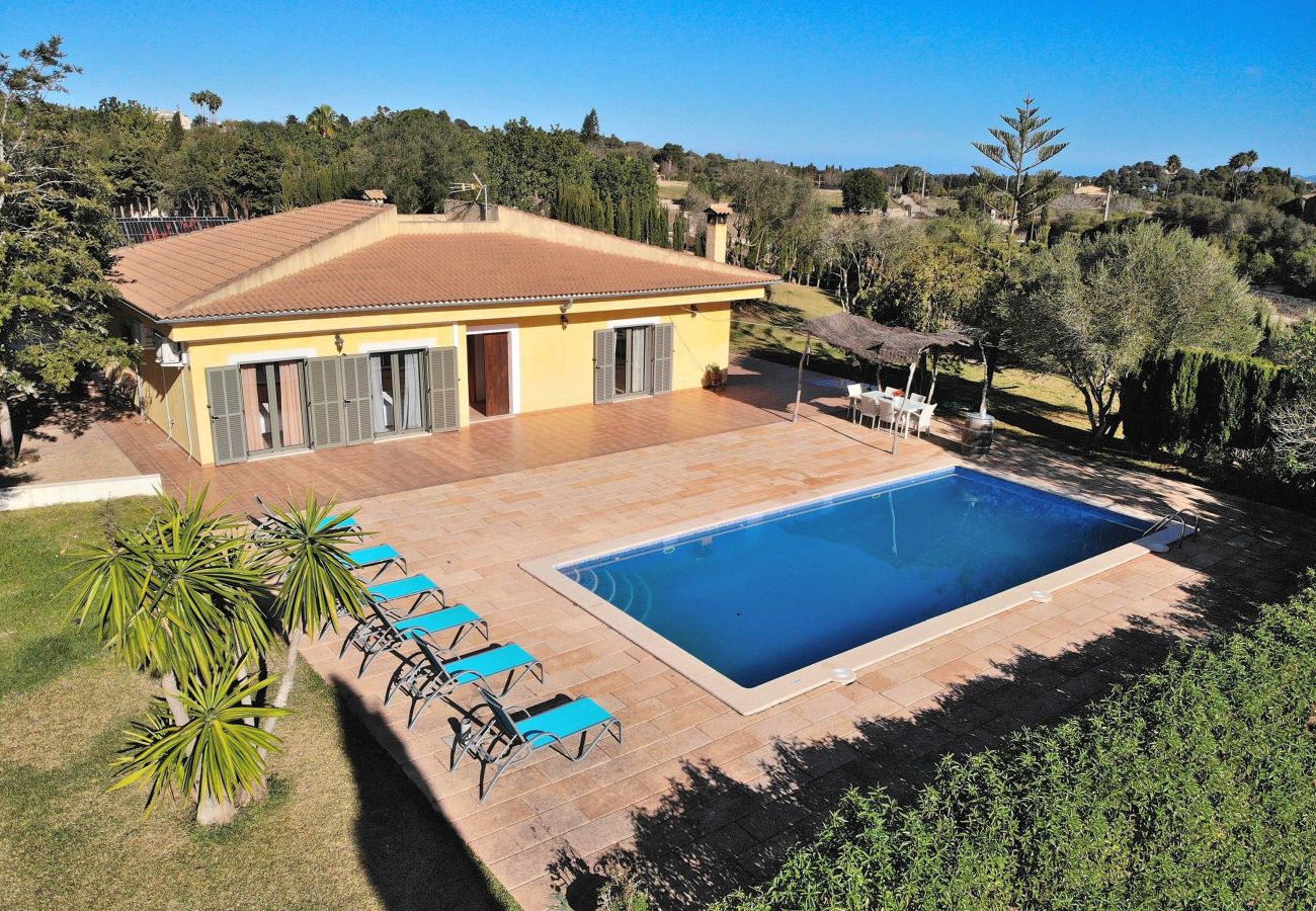 villa, mallorca, alcudia, piscine. 