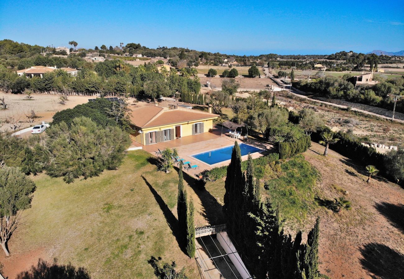 villa, mallorca, alcudia, piscine. 