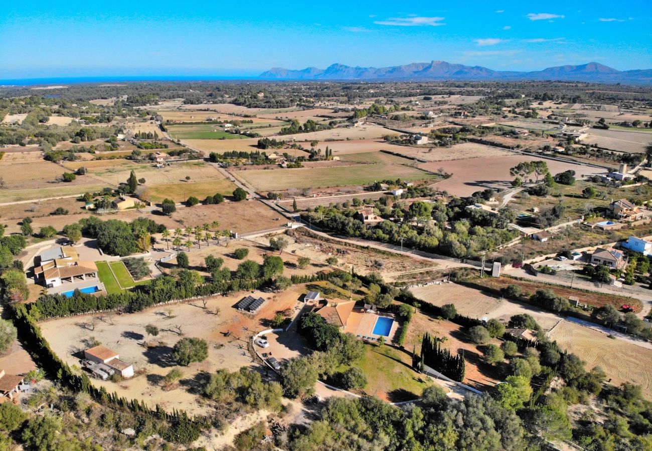 villa, mallorca, alcudia, piscine. 