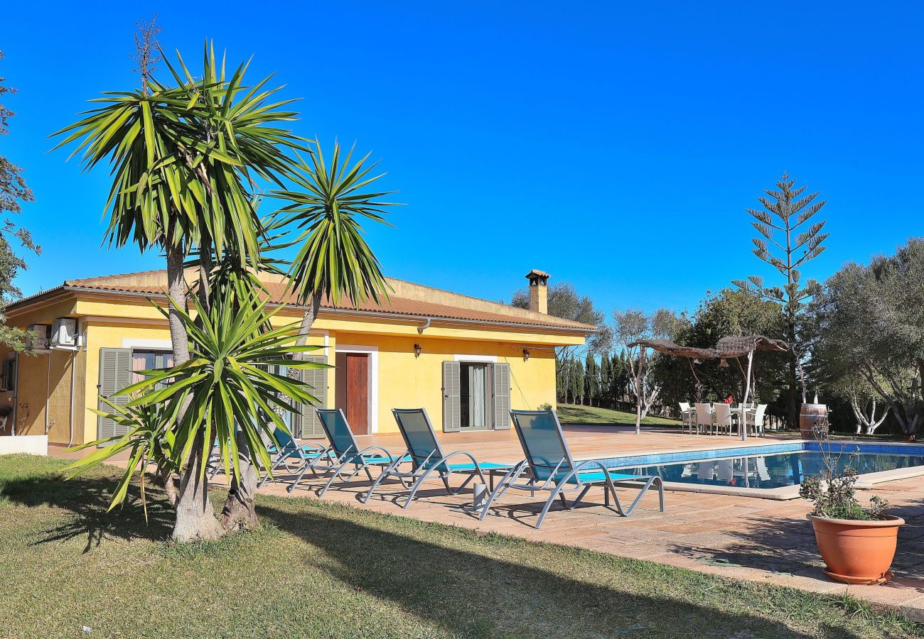Villa avec piscine et jardin, mallorca, alcudia. 