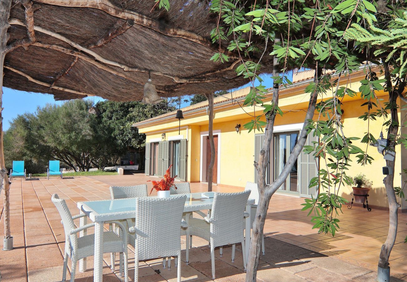 villa, mallorca, alcudia, piscine. 