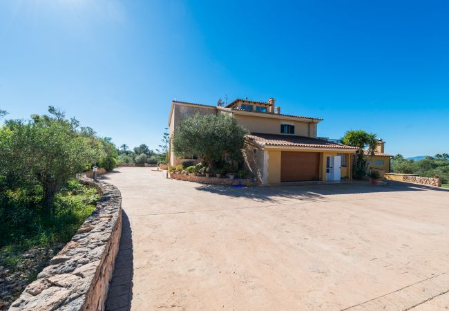 Domaine à Palma de Mallorca - S`ARANJASSA 224853 Domaine à Palma de Mallorca - S`ARANJASSA 224853