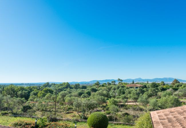Domaine à Palma de Mallorca - S`ARANJASSA 224853 Domaine à Palma de Mallorca - S`ARANJASSA 224853
