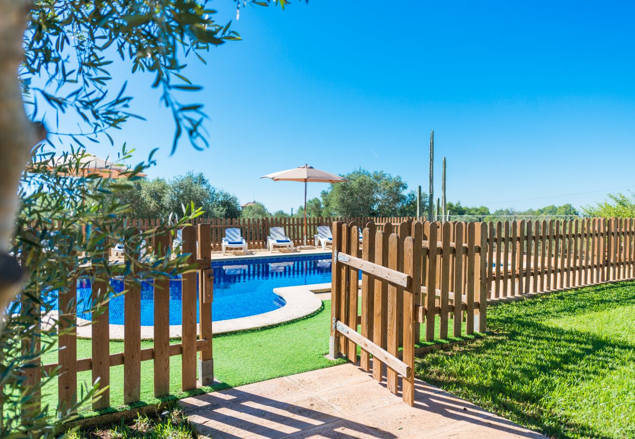 Domaine à Palma de Mallorca - S`ARANJASSA 224853 Domaine à Palma de Mallorca - S`ARANJASSA 224853