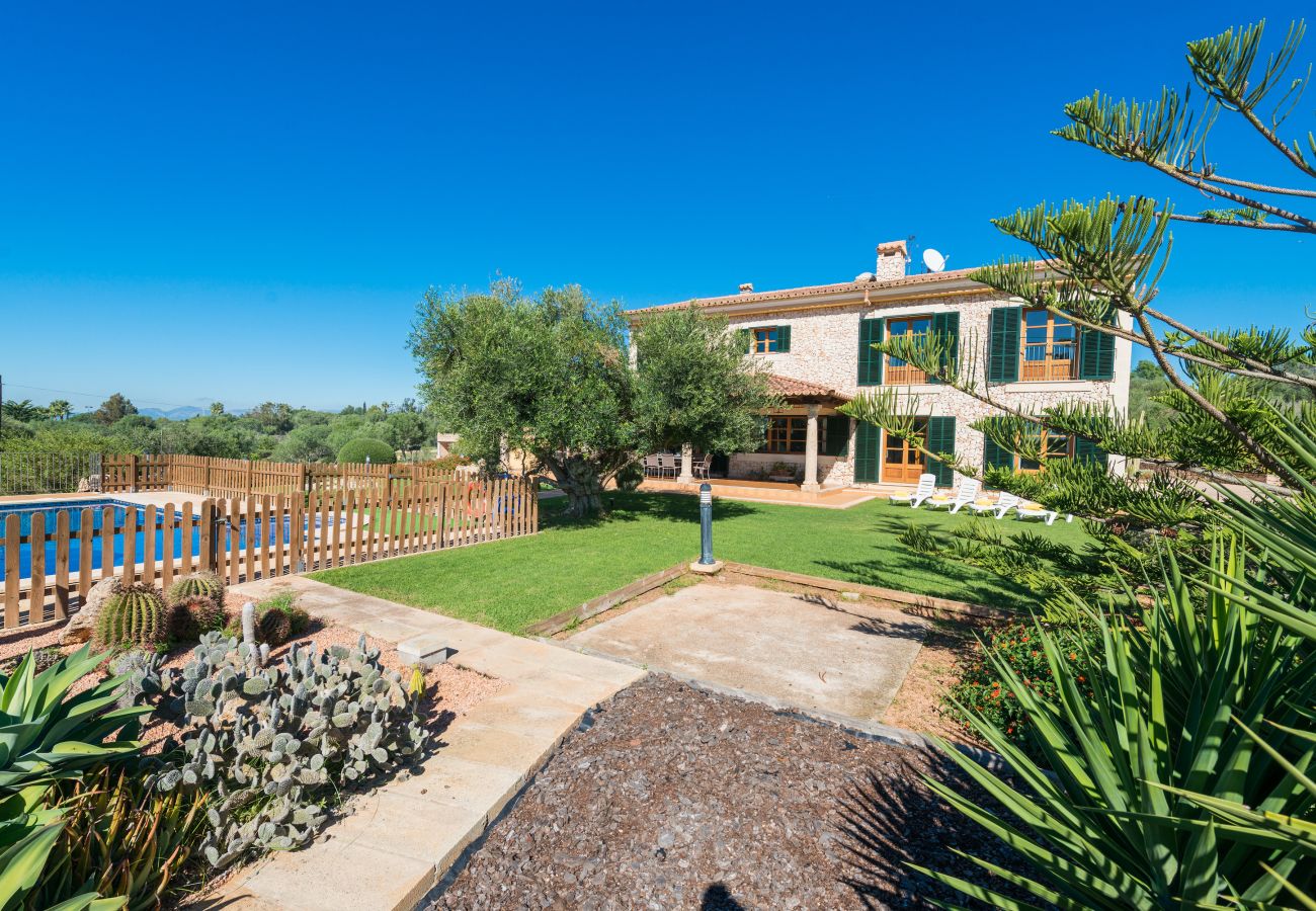 Domaine à Palma de Mallorca - S`ARANJASSA 224853 Domaine à Palma de Mallorca - S`ARANJASSA 224853