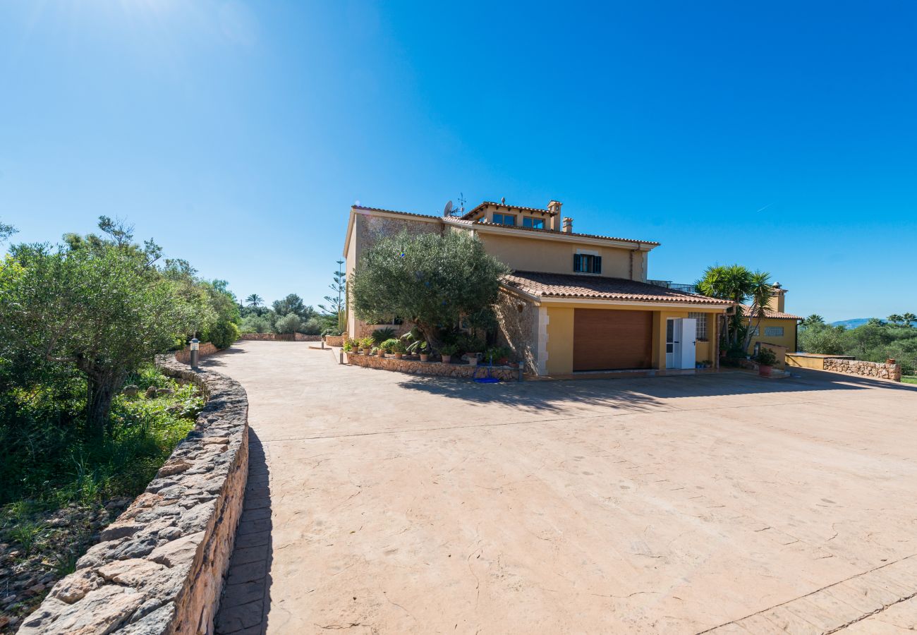 Domaine à Palma de Mallorca - S`ARANJASSA 224853 Domaine à Palma de Mallorca - S`ARANJASSA 224853