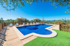 Domaine à Palma de Mallorca - S`ARANJASSA 224853