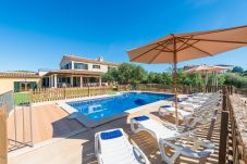 Domaine à Palma de Mallorca - S`ARANJASSA 224853