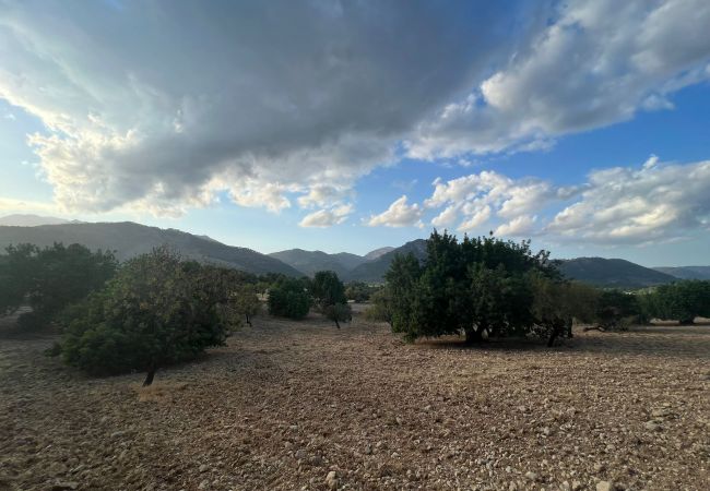 Domaine à Moscari - Finca en Moscari Domaine à Moscari - Finca en Moscari