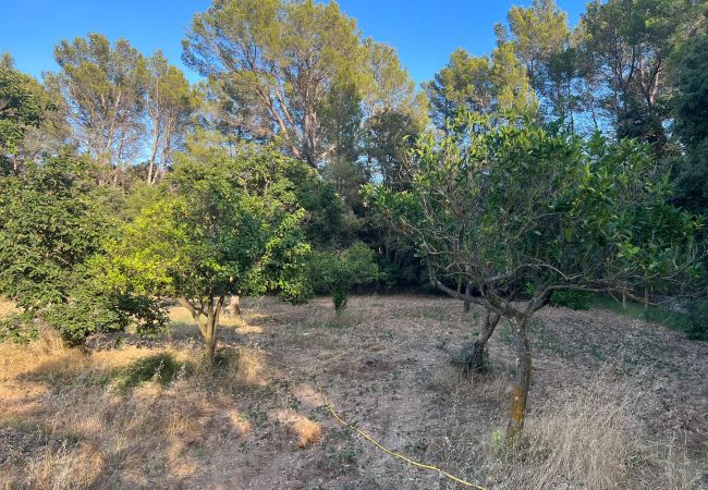 Domaine à Moscari - Finca en Moscari Domaine à Moscari - Finca en Moscari