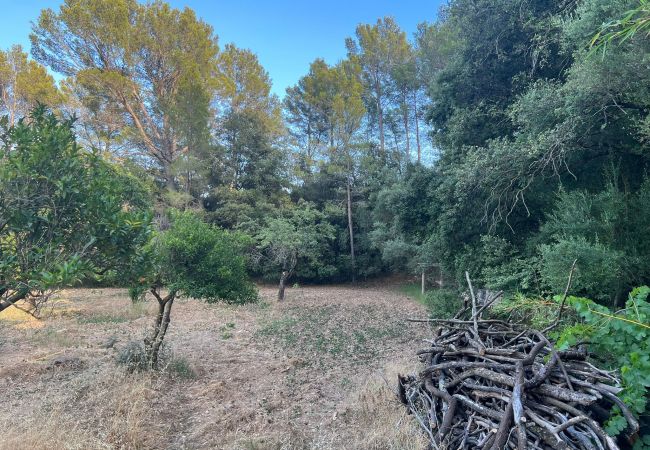 Domaine à Moscari - Finca en Moscari Domaine à Moscari - Finca en Moscari