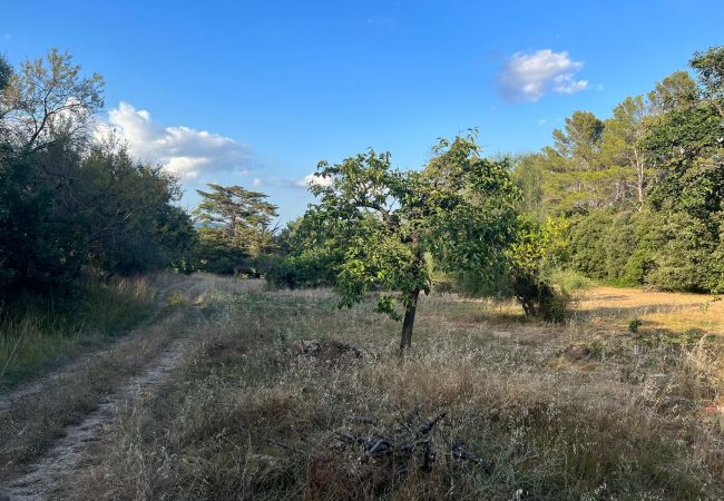 Domaine à Moscari - Finca en Moscari Domaine à Moscari - Finca en Moscari