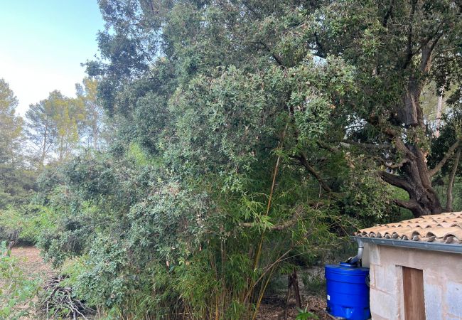 Domaine à Moscari - Finca en Moscari Domaine à Moscari - Finca en Moscari