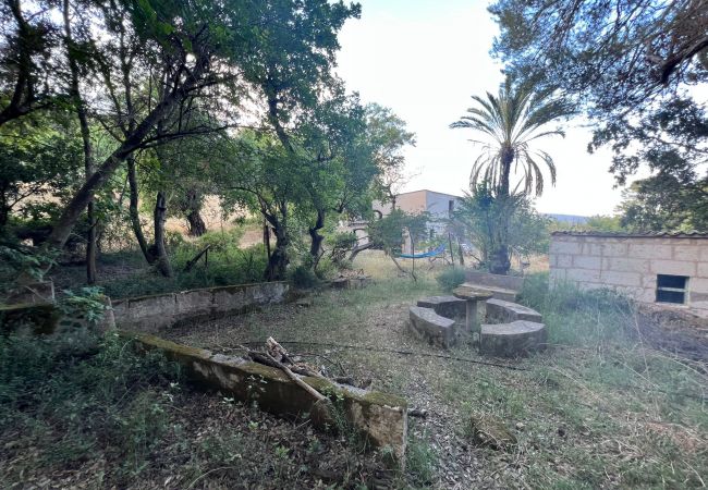 Domaine à Moscari - Finca en Moscari Domaine à Moscari - Finca en Moscari