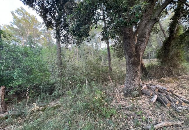 Domaine à Moscari - Finca en Moscari Domaine à Moscari - Finca en Moscari