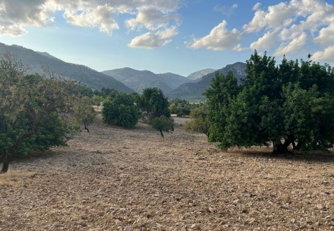 Domaine à Moscari - Finca en Moscari Domaine à Moscari - Finca en Moscari