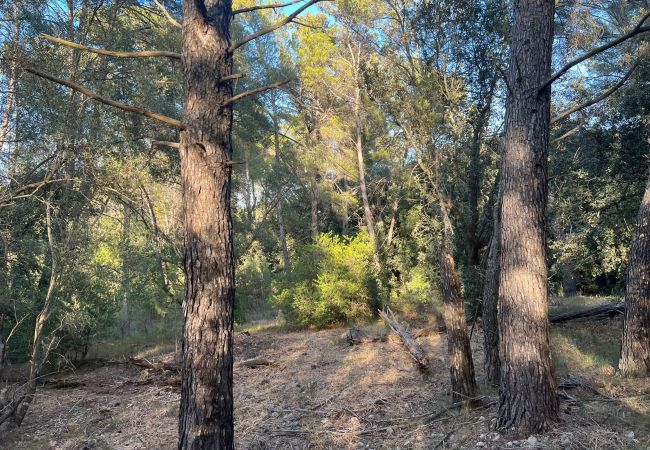 Domaine à Moscari - Finca en Moscari Domaine à Moscari - Finca en Moscari