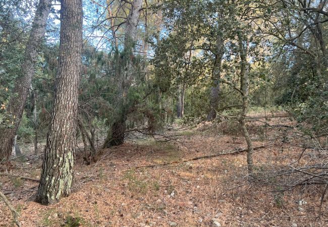 Domaine à Moscari - Finca en Moscari Domaine à Moscari - Finca en Moscari