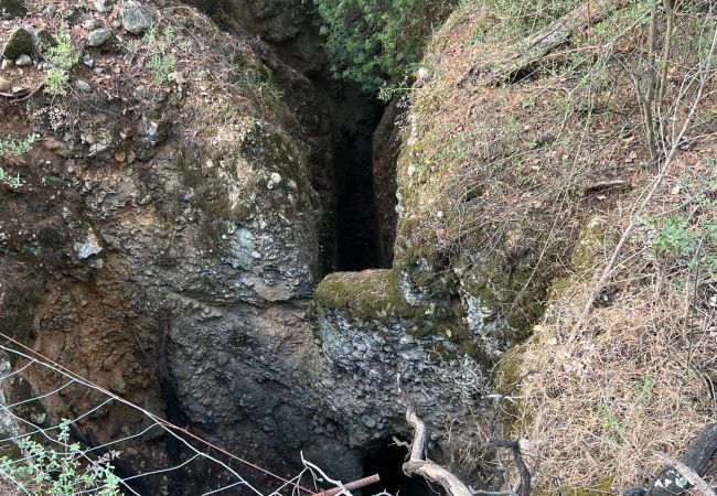 Domaine à Moscari - Finca en Moscari Domaine à Moscari - Finca en Moscari