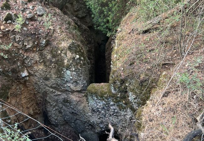 Domaine à Moscari - Finca en Moscari Domaine à Moscari - Finca en Moscari