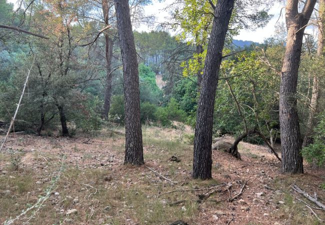 Domaine à Moscari - Finca en Moscari Domaine à Moscari - Finca en Moscari