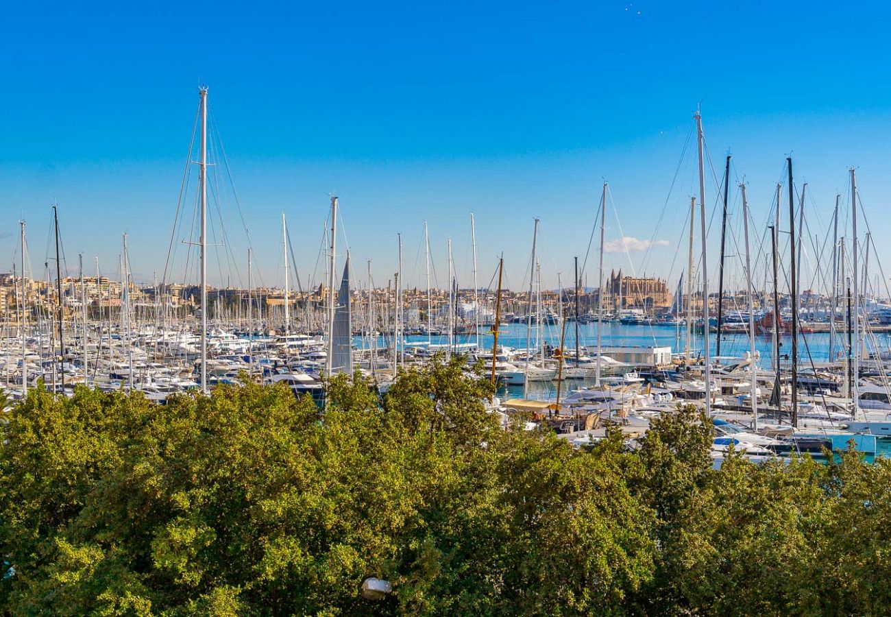 Local Commercial à Palma de Mallorca - local paseo marítimo en Palma De Mallorca