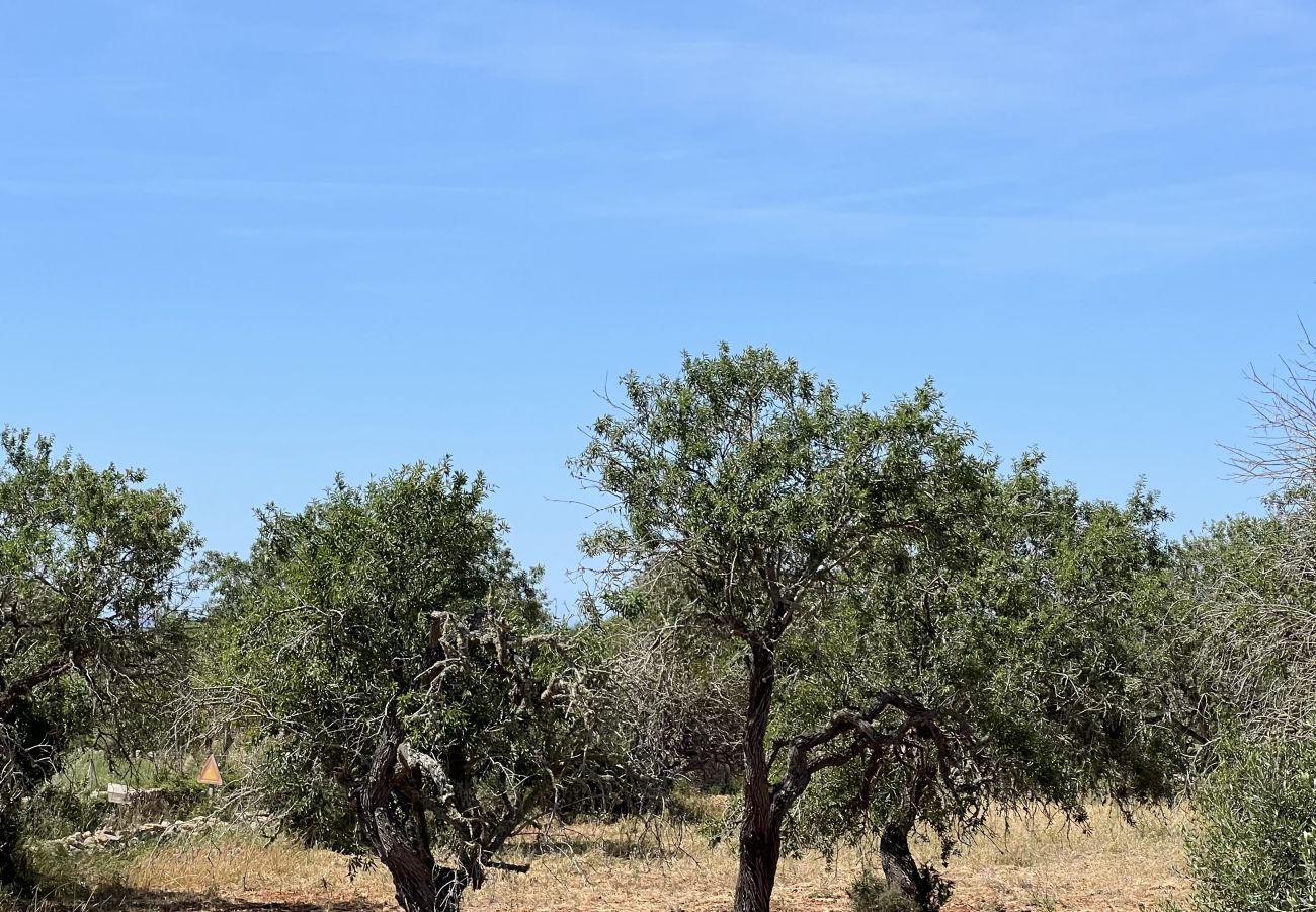Domaine à Santanyi - Terreno con proyecto Ca`s Concos