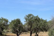 Domaine à Santanyi - Terreno con proyecto Ca`s Concos