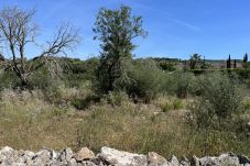 Domaine à Santanyi - Terreno con proyecto Ca`s Concos