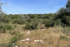 Domaine à Santanyi - Terreno con proyecto Ca`s Concos