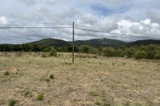 Domaine à Sa Pobla - finca rústica en crestatx